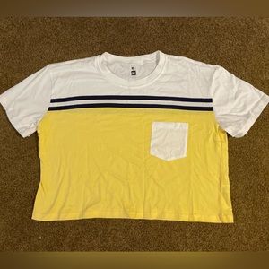 Pacsun Cropped Tee